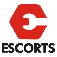 escorts